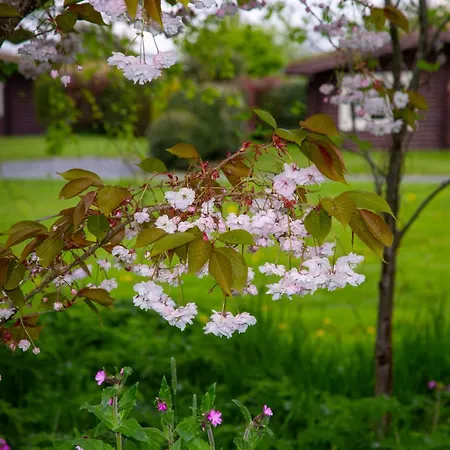 Pheasant 度假居
